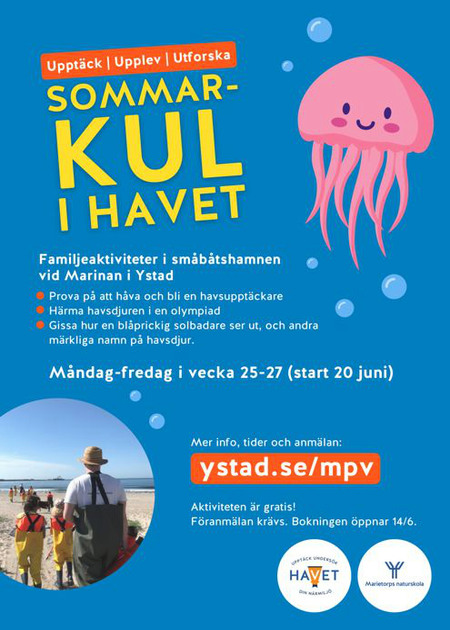Affisch Sommarkul i havet 2024