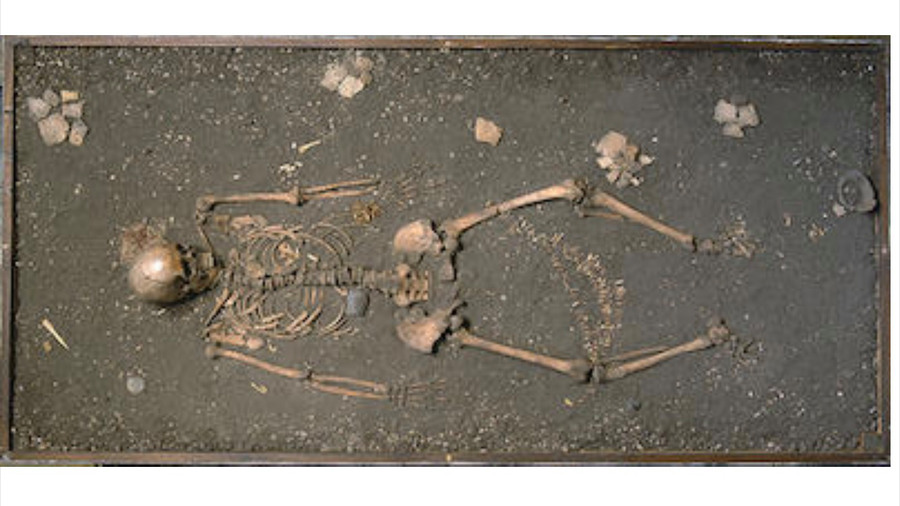 skelett i grav