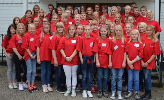 Ungdomsfullmäktige 2014-2015