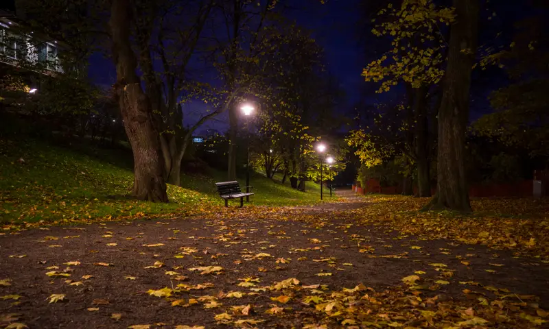 mörk park